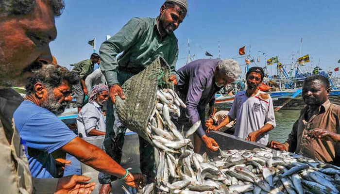 Pakistan Seafood Exports Hit $173 Million
