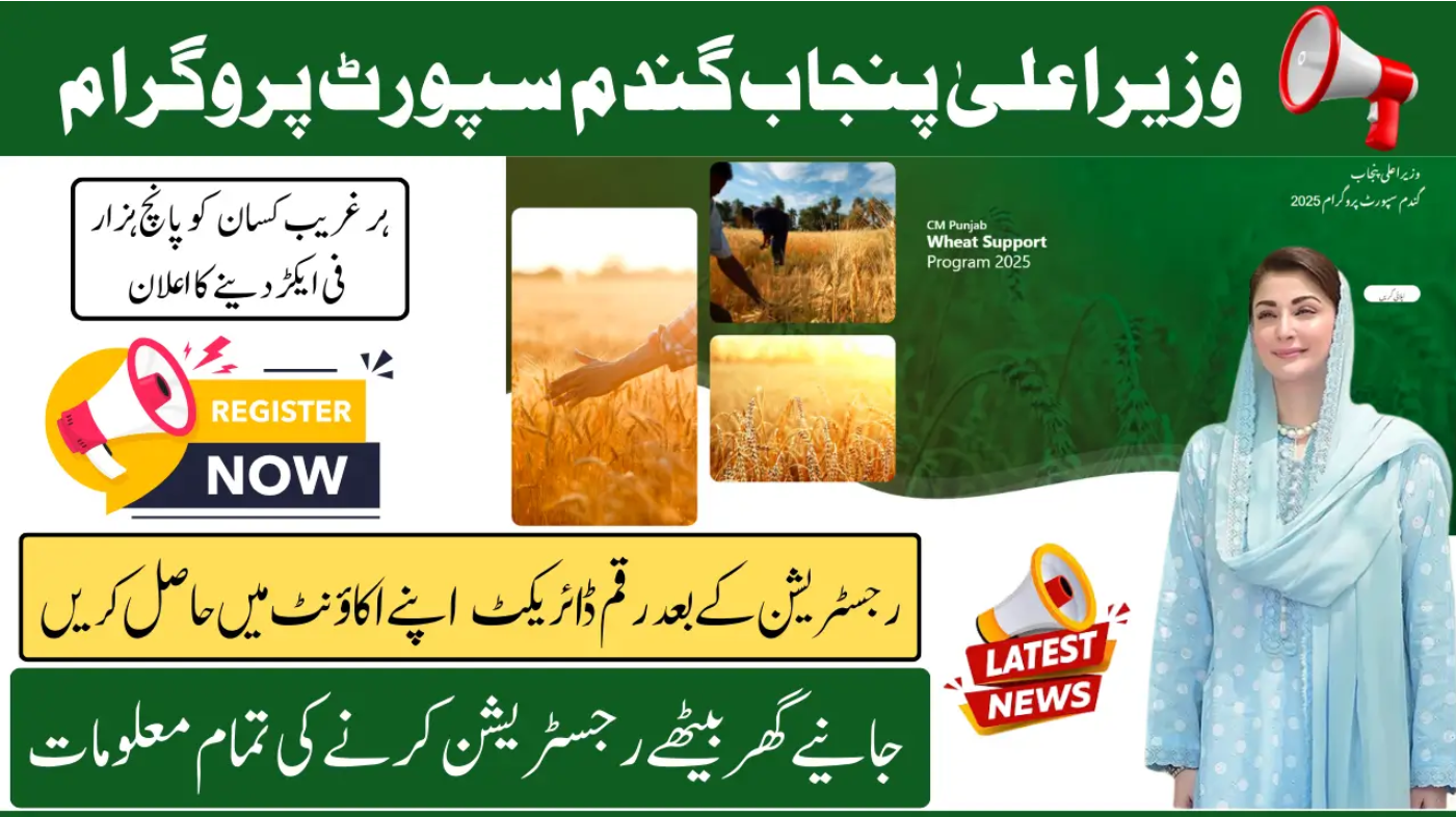 Apply for CM Punjab Wheat Program