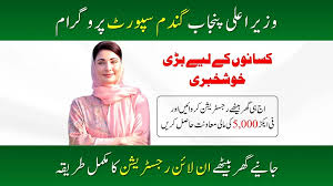 Apply for CM Punjab Wheat Program